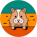 Ask KK profile picture